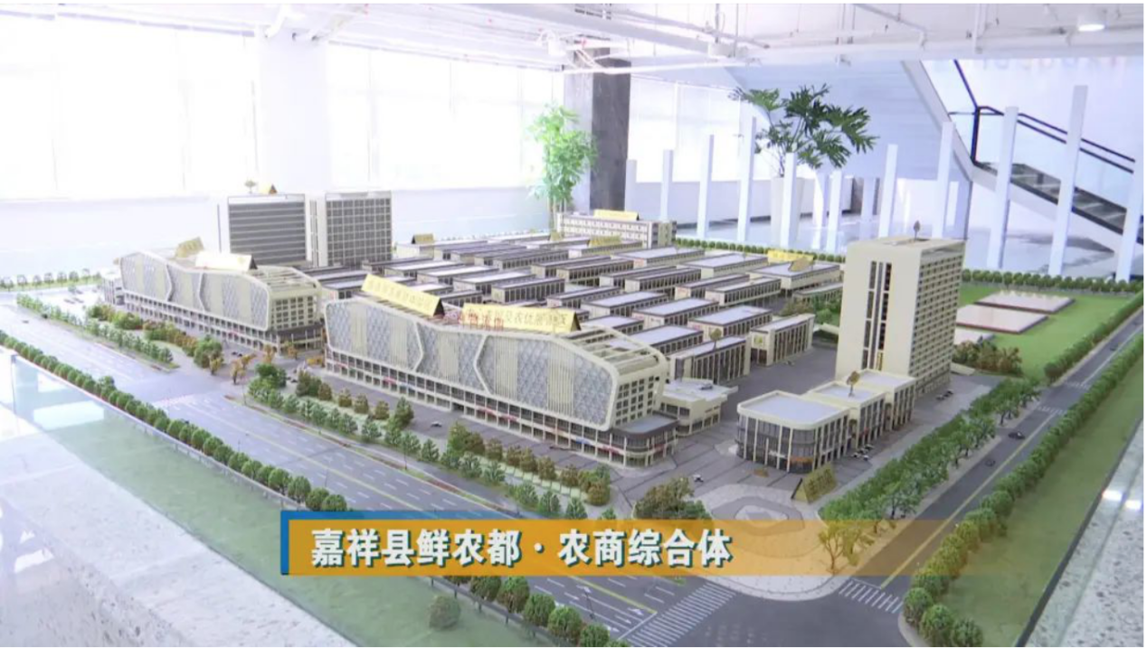 金乡县领导考察嘉祥鲜农都 金乡县领导考察嘉祥鲜农都