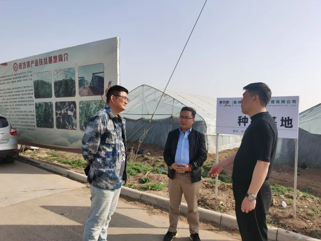 鲜农都实施合作基地插牌,助力嘉祥大宗农产品销售 鲜农都实施合作基地插牌,助力嘉祥大宗农产品销售