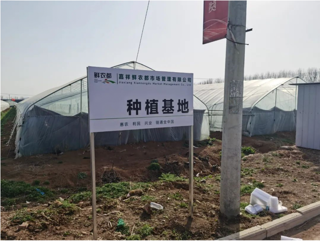 鲜农都实施合作基地插牌，助力嘉祥大宗农产品销售